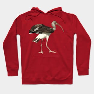 Flamingo Hoodie